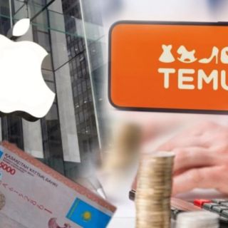 Temu мен Apple биыл Қазақстанға ең көп салық төлеген компаниялардың үштігіне кірді