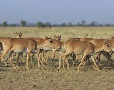 Colman Domingo and Jude Law at amfAR’s Venice Gala
