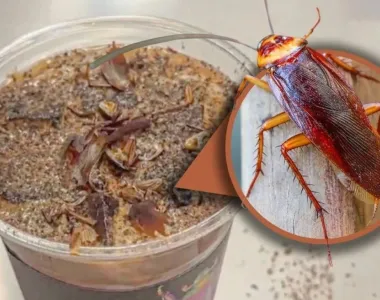 Colman Domingo and Jude Law at amfAR’s Venice Gala