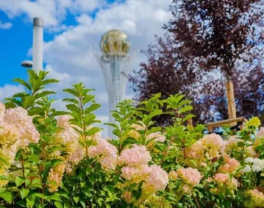 Астананың көшелері жайқалған баққа айналды