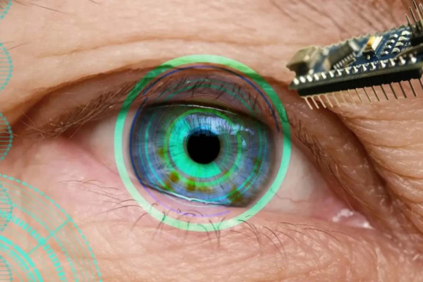 Алғаш рет зағип жандардың көру қабілетін қалпына келтіретін имплант пайда болды