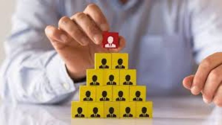 350 азаматты алдаған тағы бір қаржы пирамидасы әшкереленді