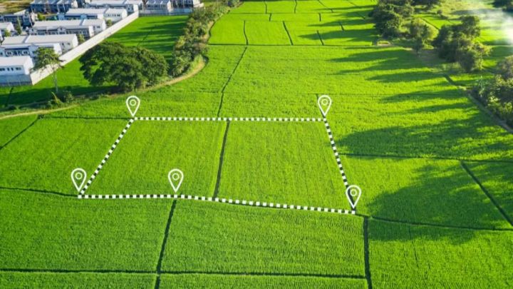 Алматы облысының әкімдігі желіде тегін 10 соттық жер таратылып жатыр деген ақпаратты жоққа шығарды