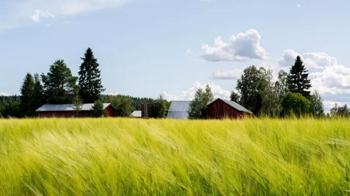 Елімізде 2027 жылға дейін барлық ауыл ғаламтормен қамтылмақ