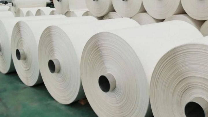 Қазақстанда қарасорадан қағаз шығармақ