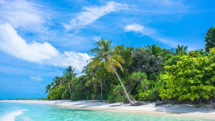 Жасанды интеллект басқаратын алғашқы мемлекет пайда болды