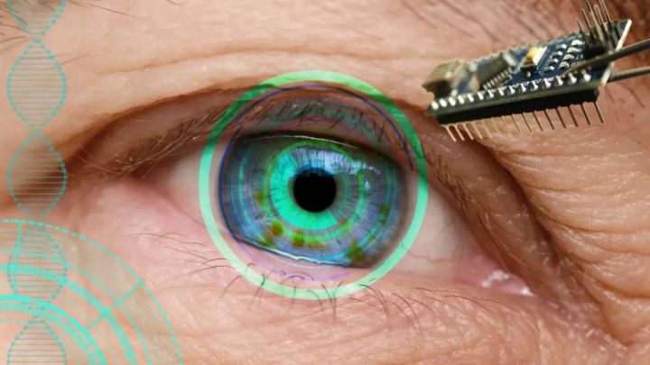 Алғаш рет зағип жандардың көру қабілетін қалпына келтіретін имплант пайда болды