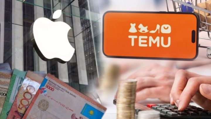 Temu мен Apple биыл Қазақстанға ең көп салық төлеген компаниялардың үштігіне кірді