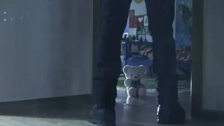 Педофилия мен ЛГБТ-ны насихаттауға тыйым салынады — заң қабылданды