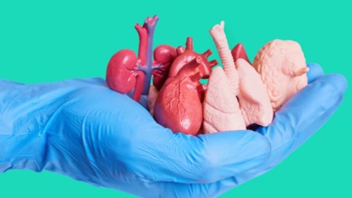 Адам ағзалары саудасы: 5 жыл халықаралық іздеуде жүрген күдікті ұсталды