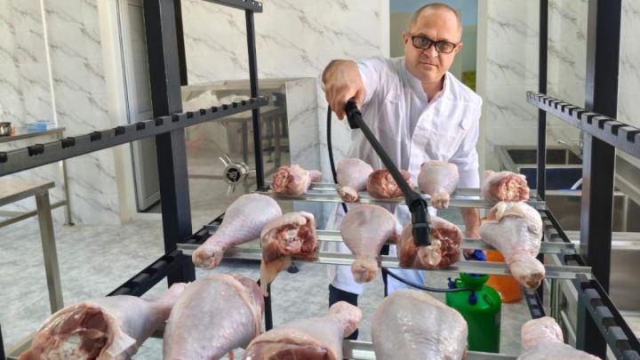 Қазақстандық ғалымдар құс етінің сақтау мерзімін 3 есе ұзартатын технология әзірледі