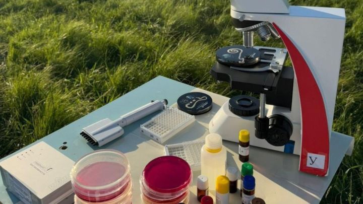 Қазақстандағы әр сегізінші өнімде заңбұзушылық бар: азық-түлік алаяқтығы қалай жұмыс істейді