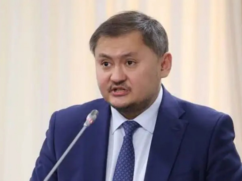 Грантсыз да тегін білім алуға болады – министр балама нұсқаларды ұсынды