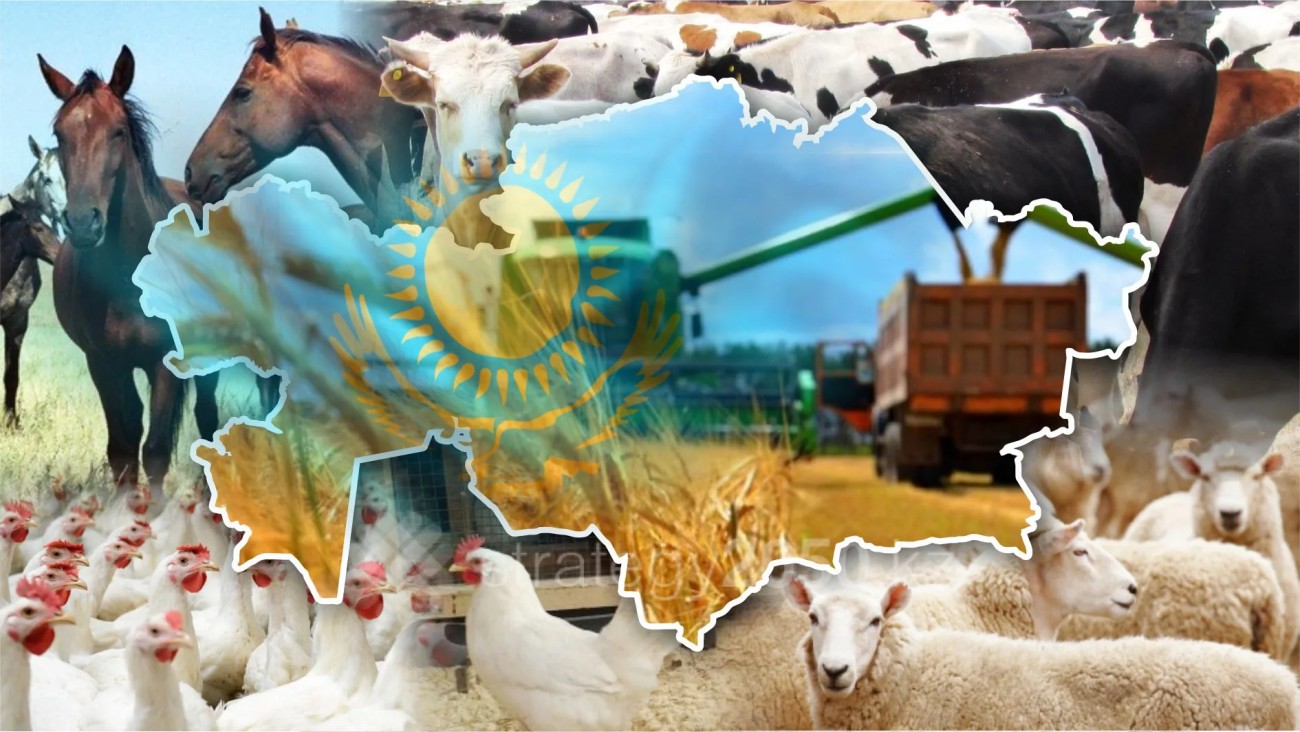 Ауыл шаруашылығы және агроөндіріс